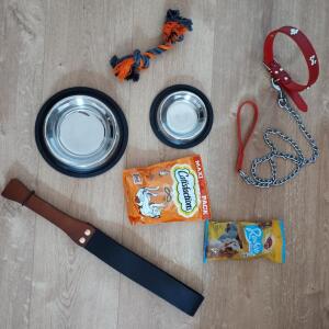 Oui_maitresse_ava_ mym