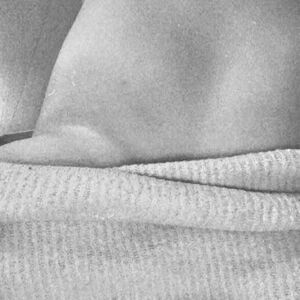 P_apillon mym