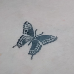 Papillondecrytal mym