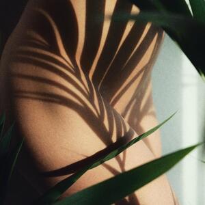 Personal_muse mym