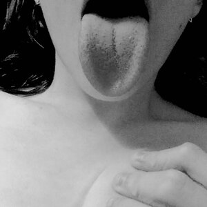 Phoreste mym