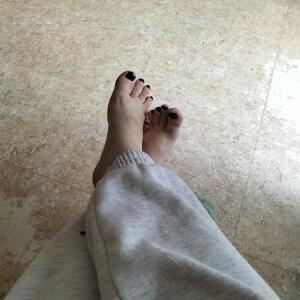 Pied__76 mym