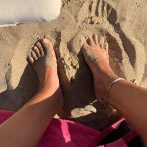 Pied_alycia mym