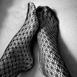 Pied_de_biche35 mym