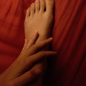 Pied_eat mym