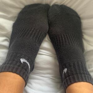 Pied_perfect mym