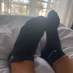 Pied_perfect mym