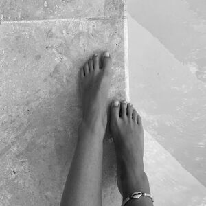Pied_sexyl mym