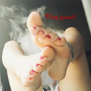 Pink_swan9 mym
