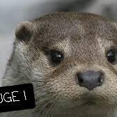 Poupi_pougne mym