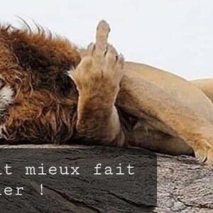 Poupi_pougne mym