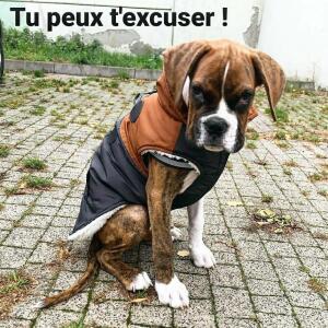 Poupi_pougne mym