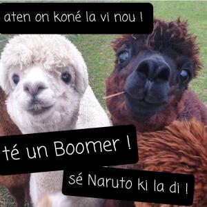 Poupi_pougne mym