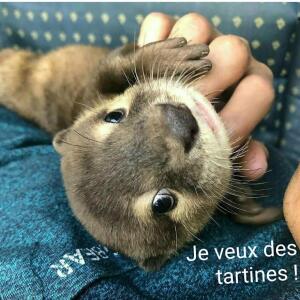 Poupi_pougne mym