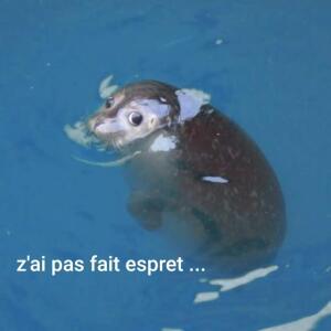 Poupi_pougne mym