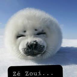 Poupi_pougne mym