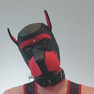 Puppy_onyx mym
