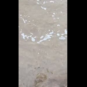 Rachel_darling mym