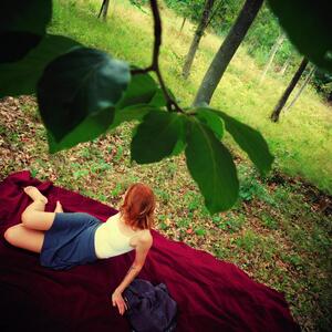 Renarde_nature mym