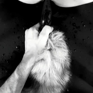 Romeo_bdsm mym