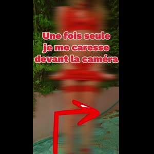 Rose_plaisir mym