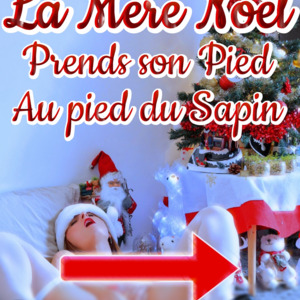 Rose_plaisir mym