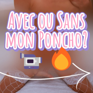 Rose_plaisir mym
