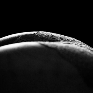 Rosito-photo mym