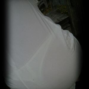 Sandra_travestie mym