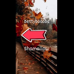 Shamallow mym