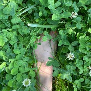 Shiva-feets mym
