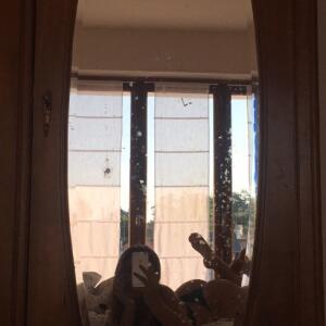 Sixtine_ct mym