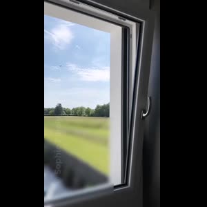 Sophie_sexuropieds mym