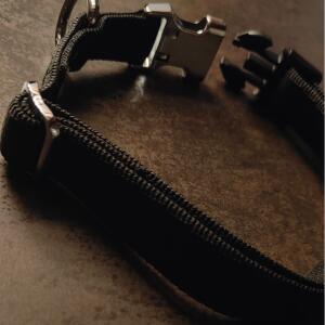 Soumise_sous_collier mym