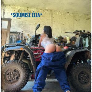 Soumiseelia mym