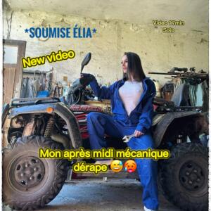 Soumiseelia mym