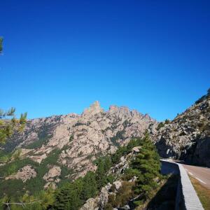 Steftravel mym