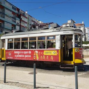 Steftravel mym