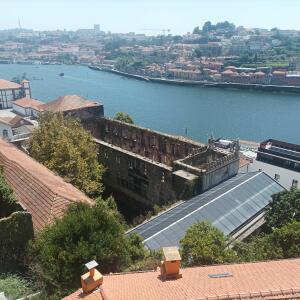 Steftravel mym