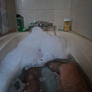 Steph_coquin mym