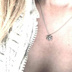 Tilia_french mym