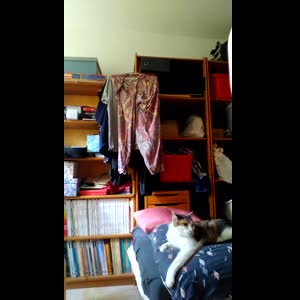 Timide_coquine mym