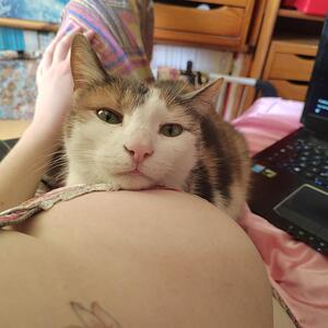 Timide_coquine mym