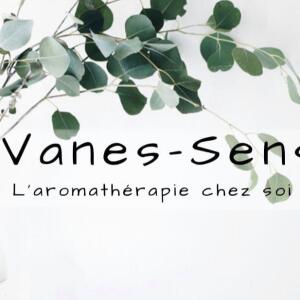 Vanes_sens mym