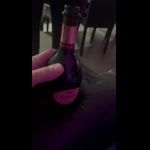 Vick_off1 mym