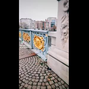 Vingtsun_lionfu mym