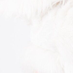 Wanda97480 mym