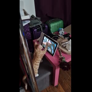 Wanda97480 mym