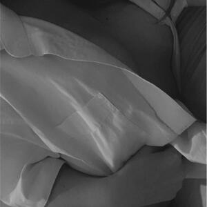 Xena_1213 mym