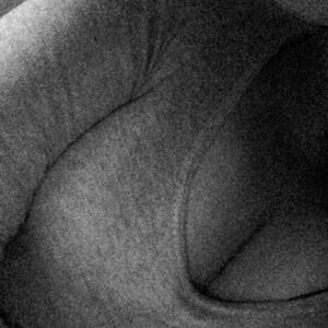 Xm_ts36 mym